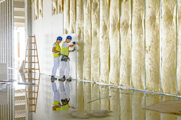 Best Insulation Maintenance and Repair in Medpolis, IA